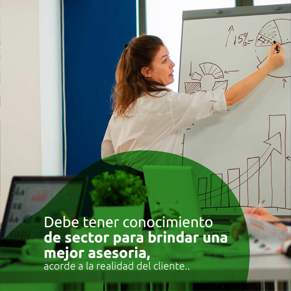 Habilidades 12 MVO Consulting