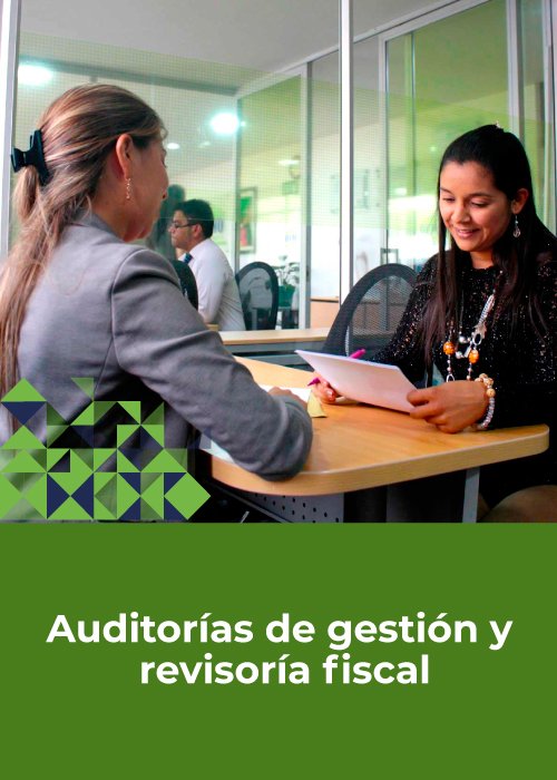 Im Auditoria Y Gestion Revisoria Fiscal 2 Mvo Consulting